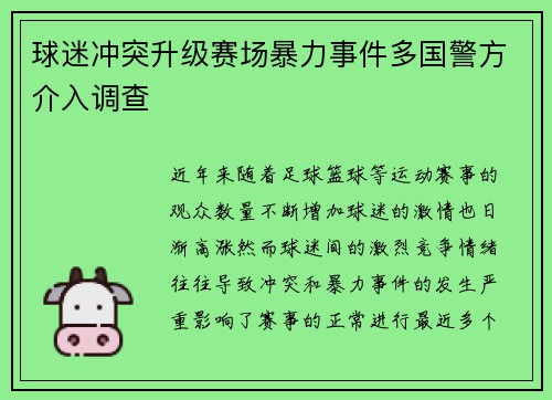 球迷冲突升级赛场暴力事件多国警方介入调查